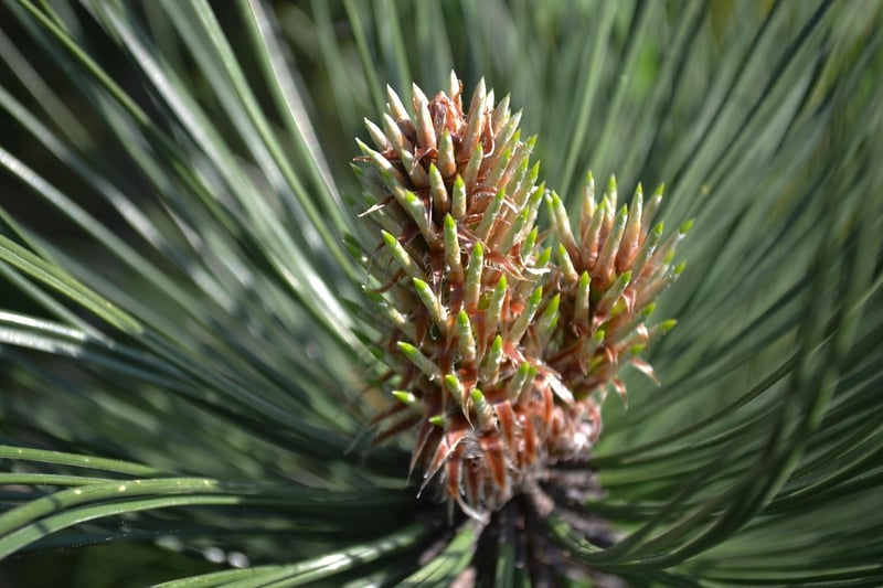 Time-Saving Techniques